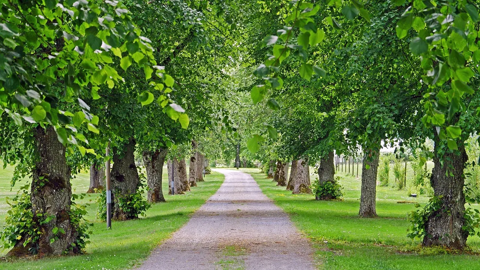 10 pistes qui peuvent expliquer une baisse de trafic organique — illustration