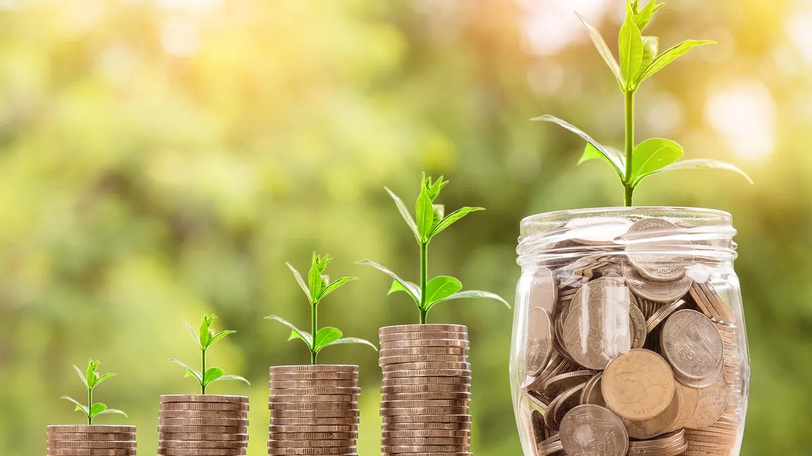 Référencement payant : quand l'activer en complément du SEO — illustration