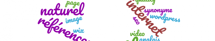 Combien De Mots Cles Doivent Etre Cibles Par Page Visicrea Createur De Visibilite